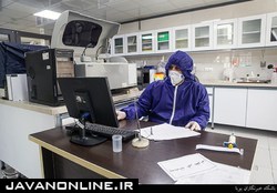 فوت ۱۱۵ نفر در ۲۴ ساعت گذشته