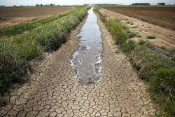 تخصیص 1500میلیارد تومان منابع مالی برای رفع خشکسالی در اردبیل
