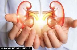 تاثیر متناقض زینک در بروز سنگ کلیه