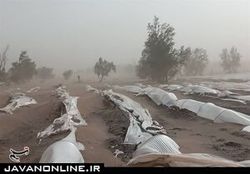 هشدار افزایش سرعت وزش باد و اختلال در تردد جاده‌ای