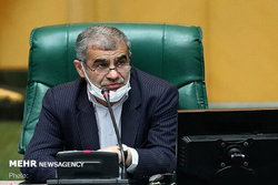 «نیکزاد» و «مصری» به عنوان نواب رئیس مجلس انتخاب شدند