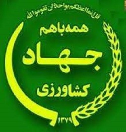 رهاسازی اب درزاینده رود۳۳هکتارازاراضی تحت پوشش شبکه ایی زیرکشت خواهدرفت