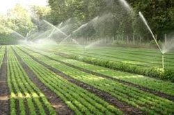 توسعه سامانه نوین آبیاری در مزارع گناباد
