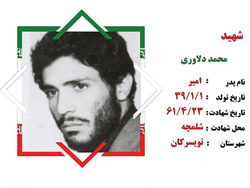 اجر مجروحیت و شهادت یکجا نصیبش شد