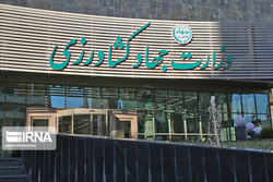 توجیهات وزارت جهاد کشاورزی در افزایش قیمت شیر خام