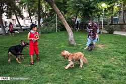 اعتراض به سگ‌گردانی ولنگارانه