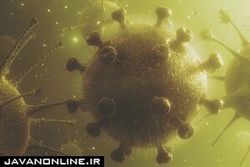 نتایج امیدبخش واکسن‌ها در ریشه‌کنی کرونا