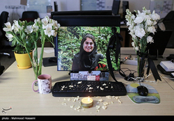 تابوت مرگ سازمان محیط زیست برای خبرنگاران