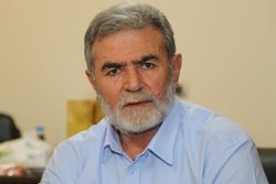 زیاد النخاله:
تشکیلات خودگردان دیگر نماینده ملت فلسطین نیست