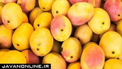 میوه‌ای که به شدت برای خانم‌های باردار توصیه می‌شود
