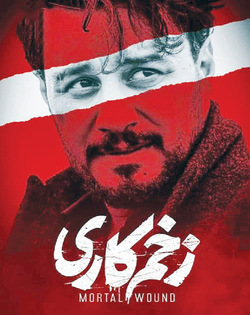 شکایت یواشکی سازمان سینمایی از «ساترا» به بهانه «زخم کاری»