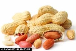 احتمال پیشرفت سرطان با مصرف مداوم بادام زمینی