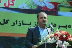 کرج دومین تولیدکننده گیاهان گلخانه‌ای کشور است