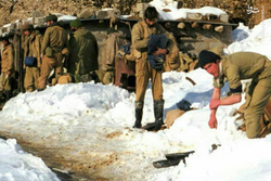 گرگ‌ها باعث جبهه رفتن دوستم شدند!
