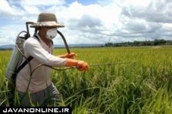 بروز مشکلات عصبی در کودکان با آفت‌کش‌ها
