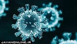 ویروس کرونا به کدام اندام‌ها آسیب می‌زند؟