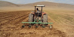 آذربایجان‌شرقی پیشرو در طرح جهش تولید در دیمزارهای کشور/ اجرای طرح جهش تولید با مشارکت 92 هزار کشاورز