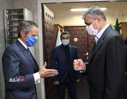 مبنای تعامل هسته‌ای مجلس با دولت در چارچوب قانون است