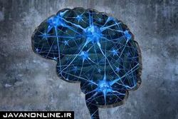 پروتئین کبد موجب بروز چه بیماری می‌شود؟