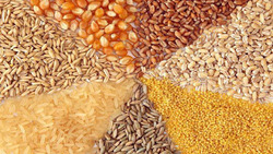 تشریح دلایل چهارگانه برای ساماندهی بازار نهاده‌های دامی