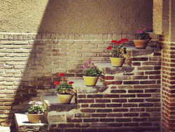 آنان ساده بودن و ساده زندگی کردن را انتخاب می‌کنند