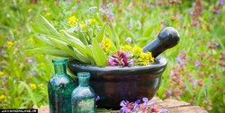 استفاده از «طب ایرانی» مورد تأکید وزارت بهداشت است
