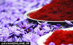با استفاده از زعفران مشکلات ترک اعتیاد را کاهش دهید