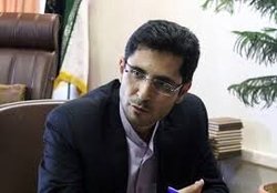 رمضی: ورزشکاران اعزامی شرکت‌ها به مسابقات جهانی، رکورددار یا انتخابی تیم ملی نیستند