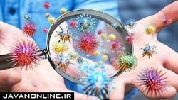زندگی انسان با میکروب‌ها از گهواره تا گور