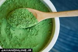 تولید پلاستیک‌های بسته‌بندی مواد غذایی از جلبک بومی ایران
