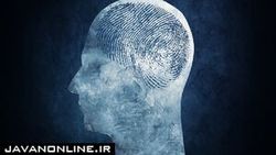 مغز ما نیز اثر انگشت دارد