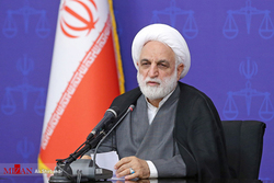 اژه‌ای: جلوی احکام خلاف شرع برخی قضات را می‌گیریم