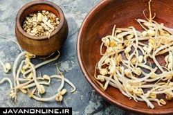 یکی از غلاتی که هرگز نباید خام خورده شود
