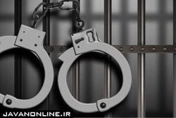 افشای یک دزدی خشن با رفتار مرموز زنی در گیشا