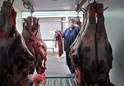 کاهش محسوس قیمت گوشت قرمز به زیر ۹۰ هزار تومان