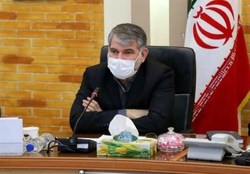 وزیر جهادکشاورزی : واردکنندگان نهاده‌های دامی جزیی از فرایند تولید کشور هستند
