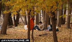 ۶ توصیه طب ایرانی برای گذران فصل پاییز