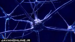 ژن چه نقشی در بروز آلزایمر دارد؟