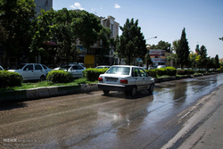 اقلیم ایران قربانی چمن‌کاری و فضای سبز!