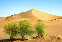 حمله بی رحمانه بیابان برای تسخیر خراسان‌جنوبی