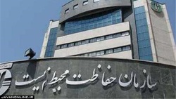 محیط زیست وظیفه‌ای برای جمع آوری سگ‌های ولگرد ندارد
