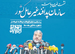 قرارگاه دفاع مقابل ریزپرنده‌ها تشکیل داده‌ایم