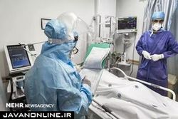 مرگ و میر بالای سویه امیکرون منتفی است