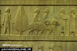 کشف کتیبه دوره ساسانی در یک مرغداری!