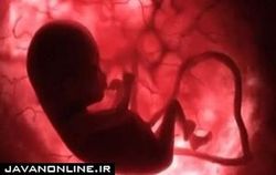 آیا آلودگی‌هوا بر جنسیت جنین در دوره بارداری تاثیر می‌گذارد؟