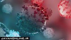 آیا جهش زیاد سویه اُمیکرون مرگ آن را رقم خواهد زد؟