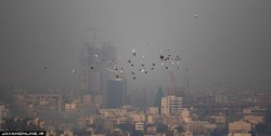 یخبندان در ۱۴ استان/‌ آلودگی هوای شهر‌های صنعتی در هفته پیشِ رو