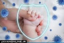 آیا جنین میتواند از طریق مادر کرونا را دریافت کند؟