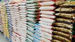 توزیع ۳۰۰ تن برنج