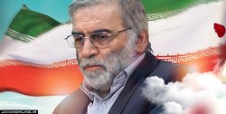 غریب‌آبادی: ترور شهید فخری زاده نقض حقوق بشر و بین الملل است